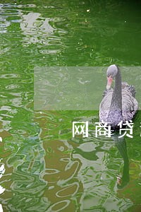 网商贷逾期网上开庭什么意思
