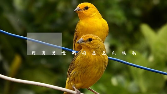 网商贷逾期罚息怎么收取 网商贷逾期罚息怎么收取