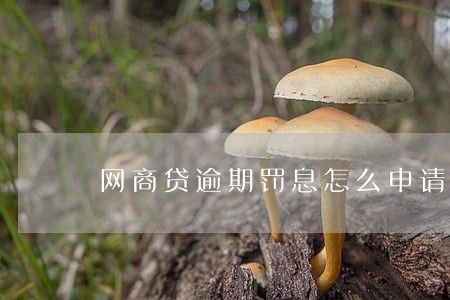 网商贷逾期罚息怎么申请减免