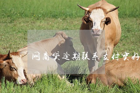 网商贷逾期联系支付宝好友 网商贷逾期联系支付宝好友