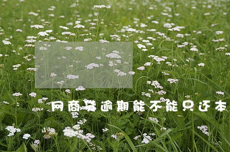 网商贷逾期能不能只还本金 网商贷逾期能不能只还本金