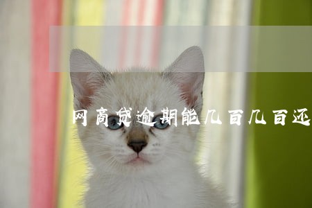 网商贷逾期能几百几百还吗 网商贷逾期能几百几百还吗
