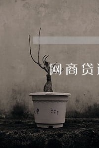 网商贷逾期能分期买车吗 网商贷逾期能分期买车吗