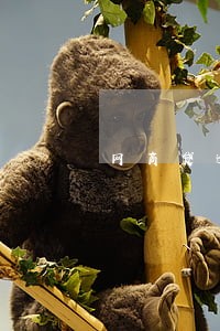 网商贷逾期能协商60期吗 网商贷逾期能协商60期吗
