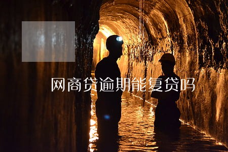 网商贷逾期能复贷吗 网商贷逾期能复贷吗
