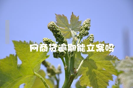 网商贷逾期能立案吗 网商贷逾期能立案吗