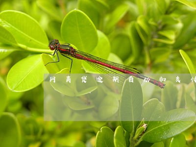 网商贷逾期自动扣支付宝 网商贷逾期自动扣支付宝