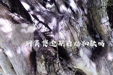 网商贷逾期自动扣款吗 网商贷逾期自动扣款吗