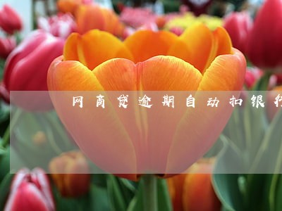网商贷逾期自动扣银行卡钱怎么办 网商贷逾期自动扣银行卡钱怎么办