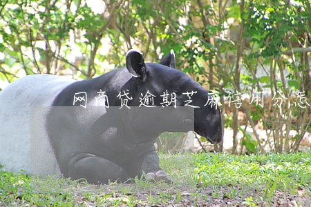 网商贷逾期芝麻信用分怎么没掉 网商贷逾期芝麻信用分怎么没掉