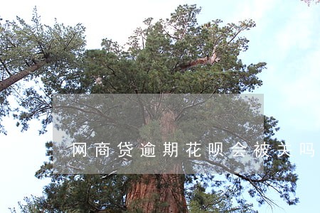 网商贷逾期花呗会被关吗 网商贷逾期花呗会被关吗