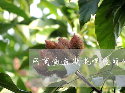网商贷逾期花呗被暂停使用 网商贷逾期花呗被暂停使用