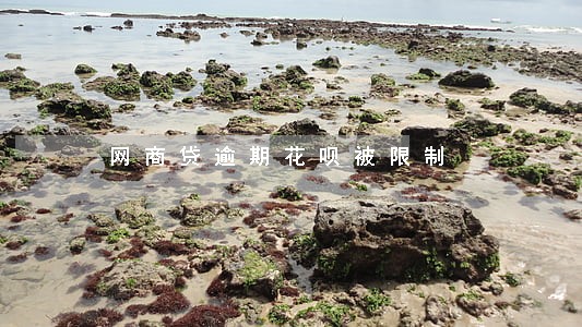 网商贷逾期花呗被限制 网商贷逾期花呗被限制