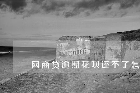 网商贷逾期花呗还不了怎么办 网商贷逾期花呗还不了怎么办