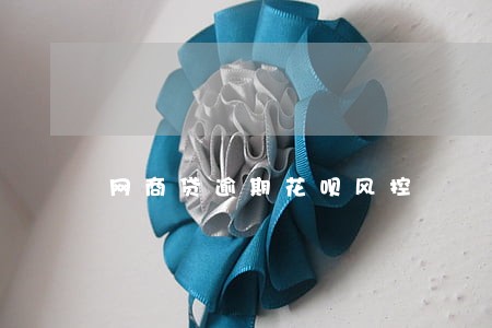 网商贷逾期花呗风控