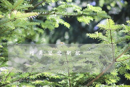 网商贷逾期被 网商贷逾期被