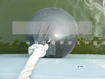 网商贷逾期被关闭额度 网商贷逾期被关闭额度