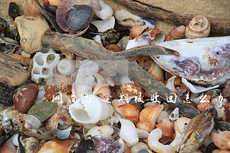 网商贷逾期被收回怎么办 网商贷逾期被收回怎么办