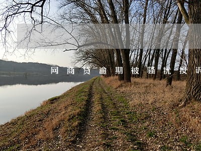 网商贷逾期被骚扰投诉 网商贷逾期被骚扰投诉