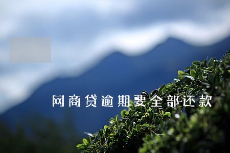 网商贷逾期要全部还款 网商贷逾期要全部还款