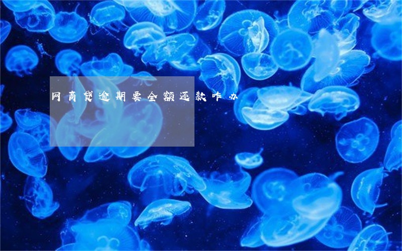 网商贷逾期要全额还款咋办 网商贷逾期要全额还款咋办
