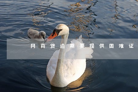 网商贷逾期要提供困难证明图片 网商贷逾期要提供困难证明图片