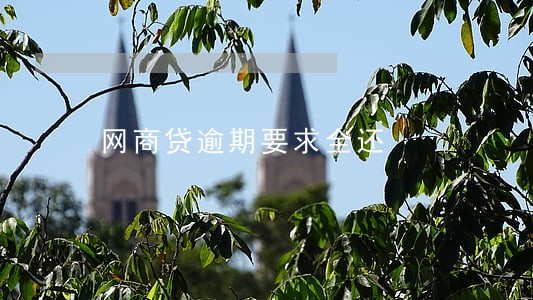 网商贷逾期要求全还 网商贷逾期要求全还