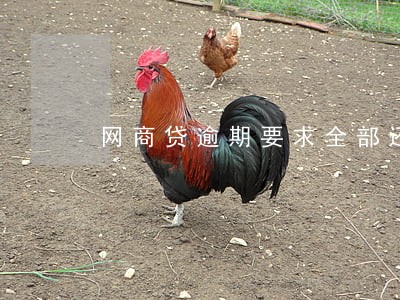网商贷逾期要求全部还清