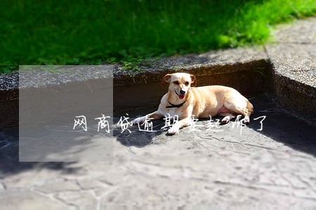 网商贷逾期要起诉了 网商贷逾期要起诉了