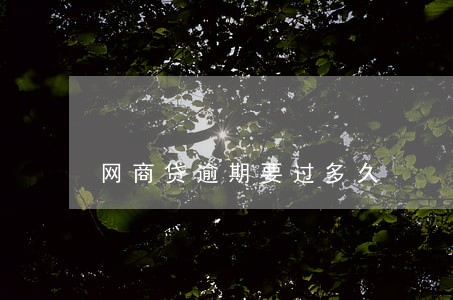 网商贷逾期要过多久 网商贷逾期要过多久