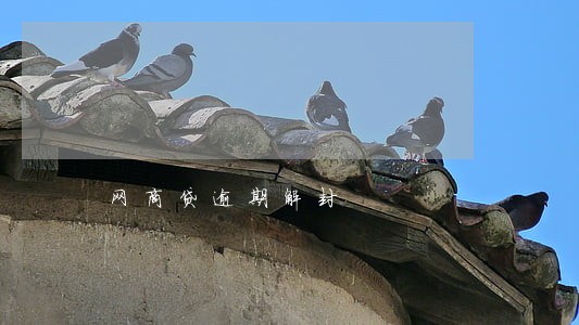 网商贷逾期解封 网商贷逾期解封