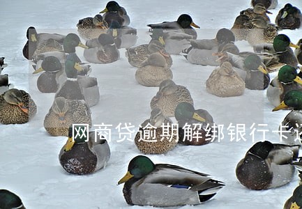 网商贷逾期解绑银行卡还能扣款吗 网商贷逾期解绑银行卡还能扣款吗
