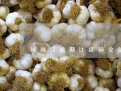 网商贷逾期让提前全部还款 网商贷逾期让提前全部还款