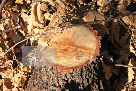 网商贷逾期记录买房 网商贷逾期记录买房