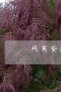 网商贷逾期记录可以清除 网商贷逾期记录可以清除