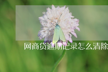 网商贷逾期记录怎么清除