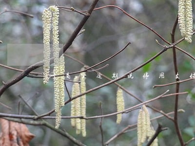 网商贷逾期说停用支付宝 网商贷逾期说停用支付宝