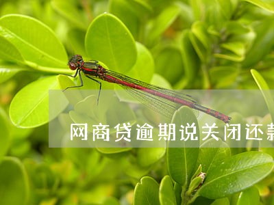 网商贷逾期说关闭还款渠道 网商贷逾期说关闭还款渠道