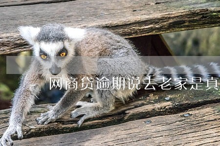网商贷逾期说去老家是真的吗