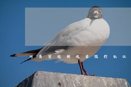 网商贷逾期说要银行取证 网商贷逾期说要银行取证