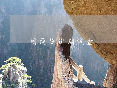 网商贷逾期调查 网商贷逾期调查