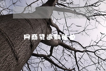 网商贷逾期账单 网商贷逾期账单