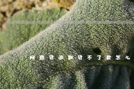 网商贷逾期贷不了款怎么办 网商贷逾期贷不了款怎么办