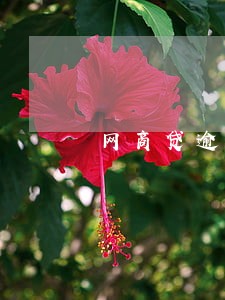 网商贷逾期费合法么