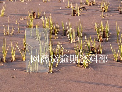 网商贷逾期资料部