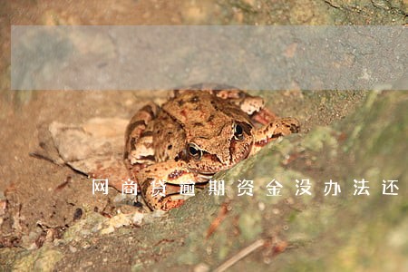 网商贷逾期资金没办法还咋办 网商贷逾期资金没办法还咋办