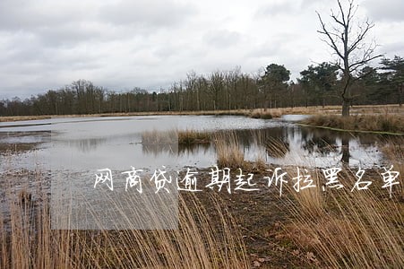 网商贷逾期起诉拉黑名单 网商贷逾期起诉拉黑名单