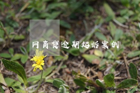 网商贷逾期起诉案例 网商贷逾期起诉案例