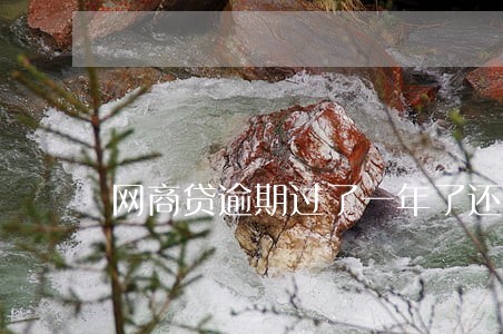 网商贷逾期过了一年了还不出 网商贷逾期过了一年了还不出