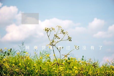 网商贷逾期过就没有了 网商贷逾期过就没有了